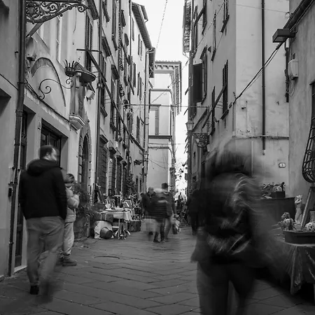 Nido Sui Tetti Di Lucca, Romantico E Centralissimo Lucca